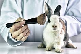 Animal-Derived Ingredients in Skincare – What to Know & What to Avoid